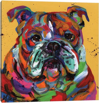 Bulldog Ben Canvas Art Print - Bulldog Art