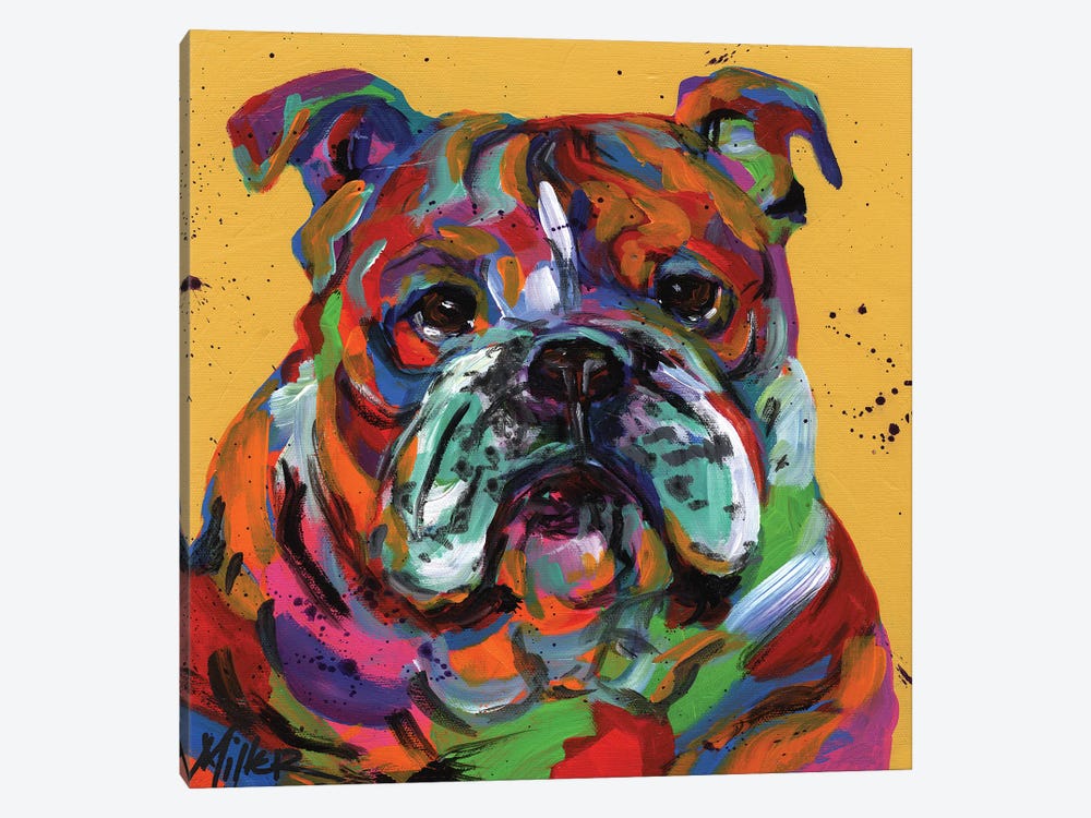 Bulldog Ben by Tracy Miller 1-piece Canvas Print