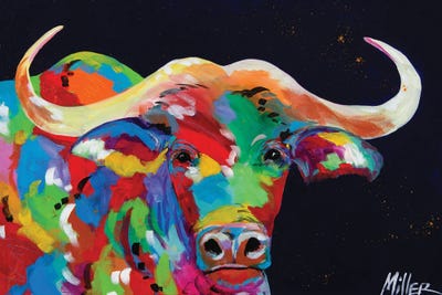 Cape Buffalo by Tracy Miller canvas print