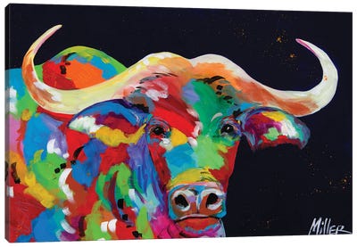 Cape Buffalo Canvas Art Print - Tracy Miller