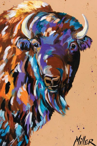 Bison & Buffaloes: Commander by Tracy Miller