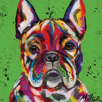 Frenchie by Tracy Miller acrylic art print