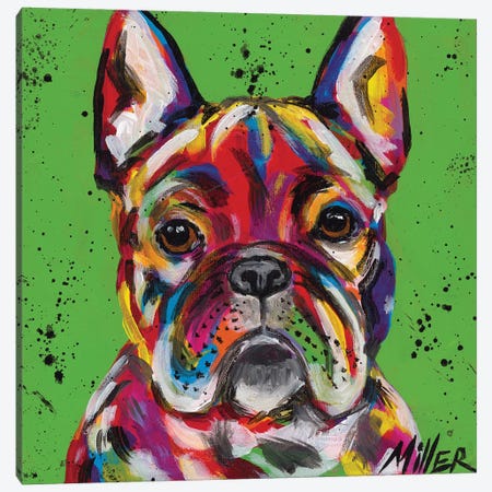 Frenchie Canvas Print #TCY57} by Tracy Miller Canvas Artwork
