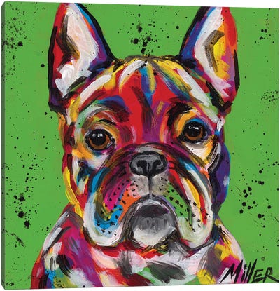 Frenchie Canvas Art Print - Tracy Miller