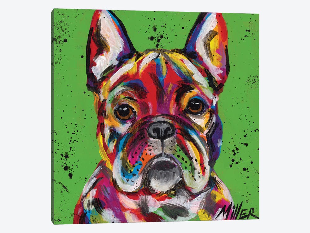 Frenchie by Tracy Miller 1-piece Canvas Print