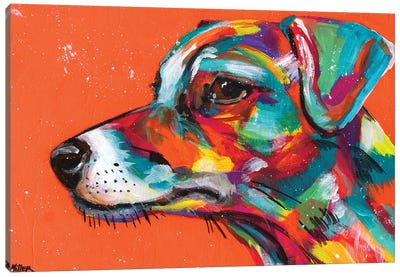 Jack Russell Canvas Art Print - Tracy Miller