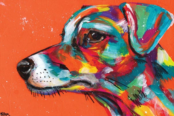 Jack Russell Terriers: Jack Russell by Tracy Miller