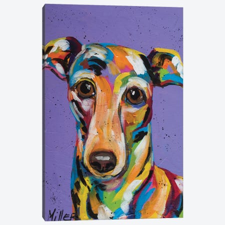Italian Greyhound Canvas Print #TCY6} by Tracy Miller Canvas Art Print