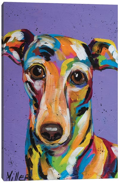 Italian Greyhound Canvas Art Print