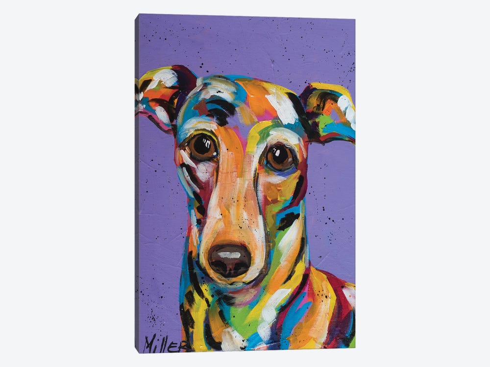 Italian Greyhound by Tracy Miller 1-piece Canvas Wall Art