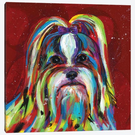 Llasa Apso Canvas Print #TCY75} by Tracy Miller Canvas Wall Art