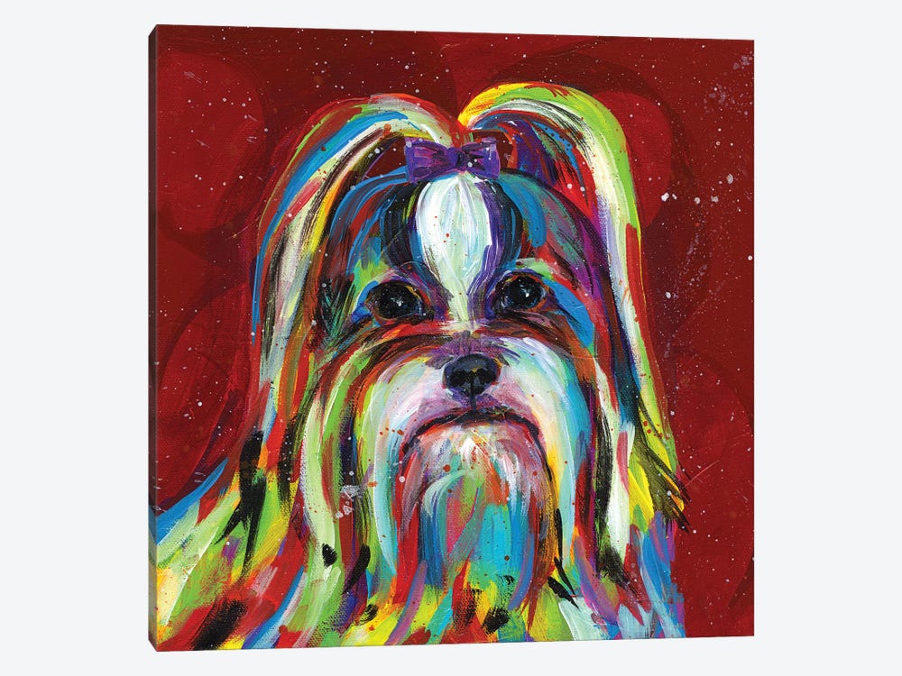 Llasa Apso by Tracy Miller 1-piece Canvas Print