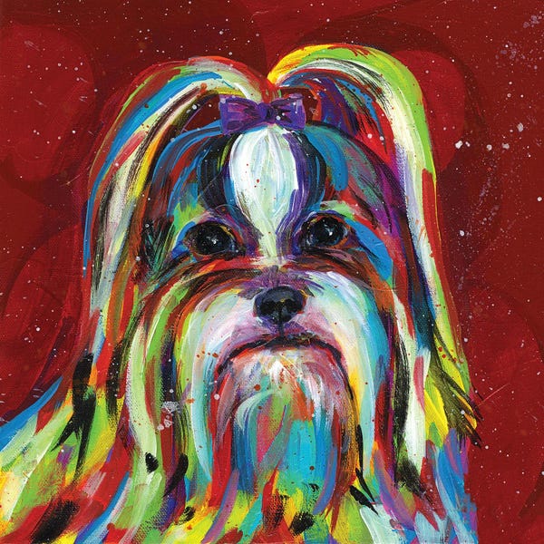 Lhasa Apsos: Llasa Apso by Tracy Miller