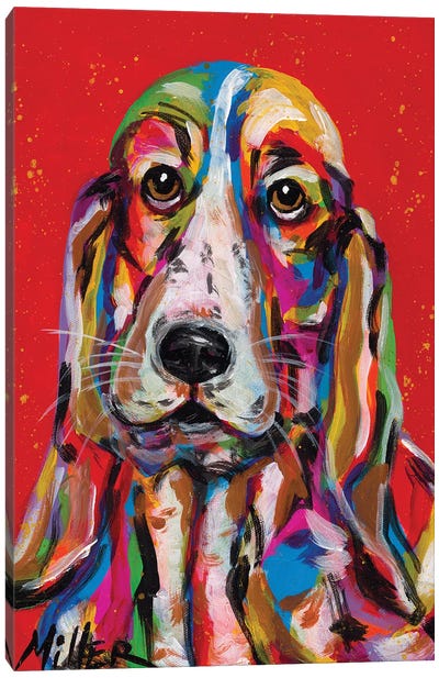 Long Ears Canvas Art Print - Basset Hound Art