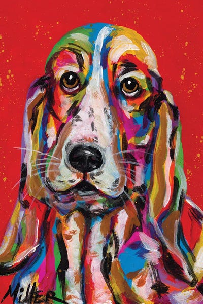 Basset Hounds: Long Ears by Tracy Miller