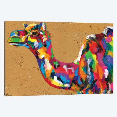King of the Desert Canvas Print #TCY82} by Tracy Miller Canvas Art
