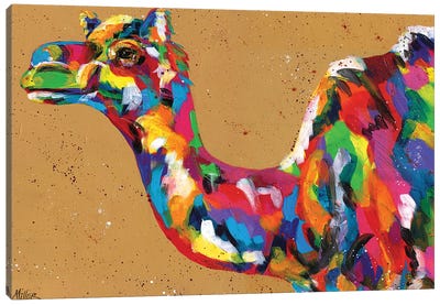 King of the Desert Canvas Art Print - Camel Art