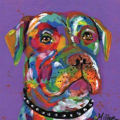 Petey Pit Bull by Tracy Miller metal wall art