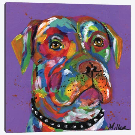 Petey Pit Bull Canvas Print #TCY90} by Tracy Miller Canvas Art Print