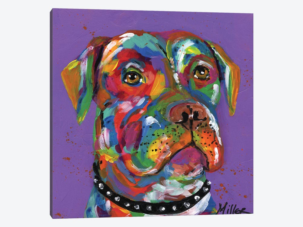 Petey Pit Bull by Tracy Miller 1-piece Canvas Wall Art