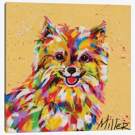 Pomeranian Canvas Print #TCY93} by Tracy Miller Canvas Print