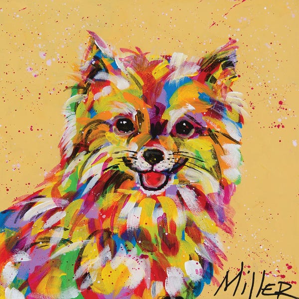 Pomeranians: Pomeranian by Tracy Miller
