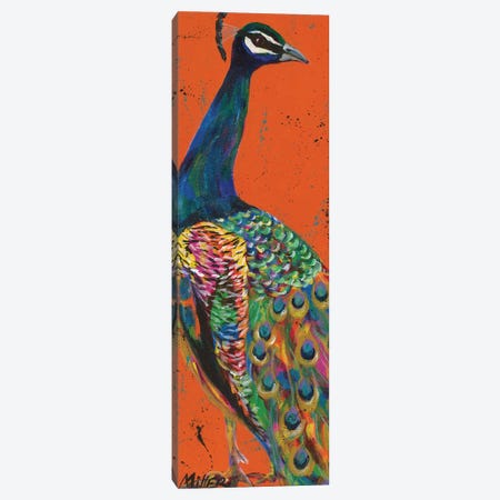 Proud Peacock Canvas Print #TCY97} by Tracy Miller Canvas Wall Art