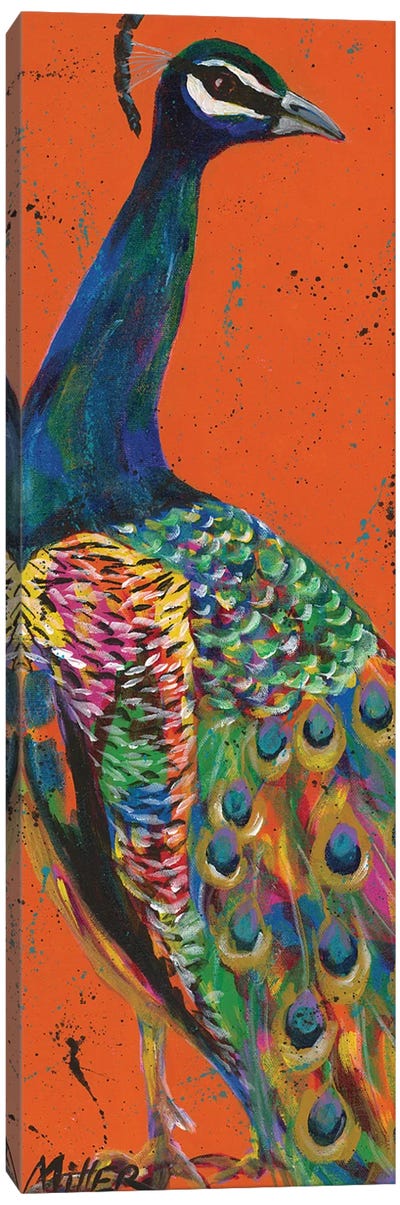 Proud Peacock Canvas Art Print - Tracy Miller