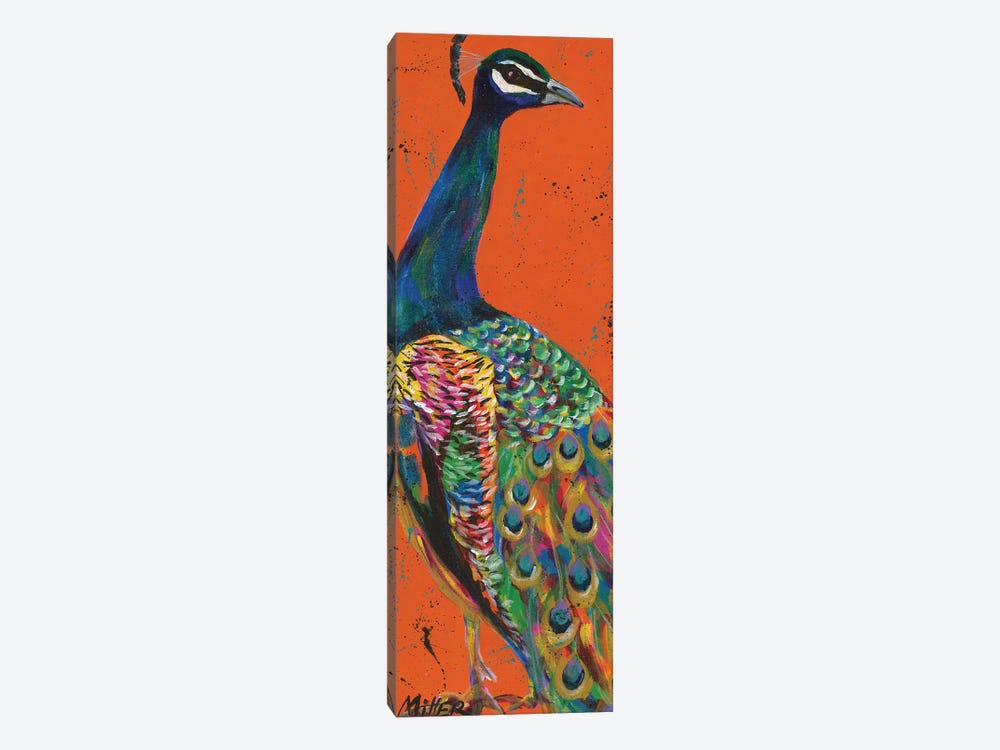 Proud Peacock by Tracy Miller 1-piece Canvas Art Print