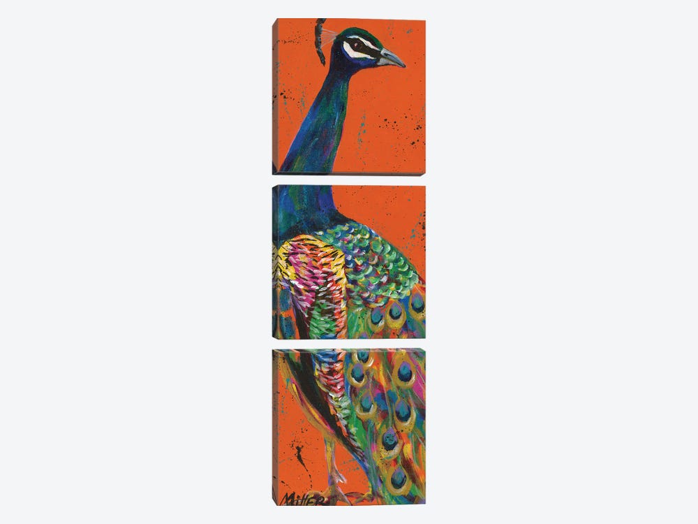 Proud Peacock by Tracy Miller 3-piece Canvas Art Print
