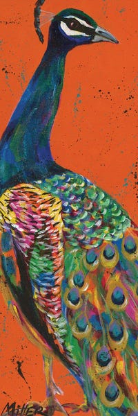 Peacocks: Proud Peacock by Tracy Miller