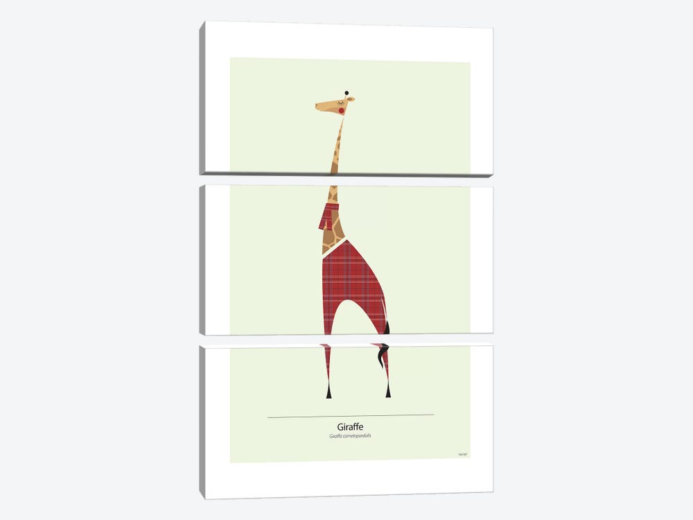 Giraffe by TomasDesign 3-piece Art Print