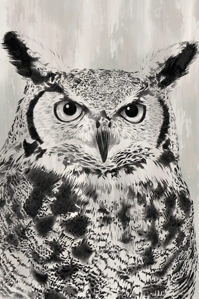 Charcoal Owl