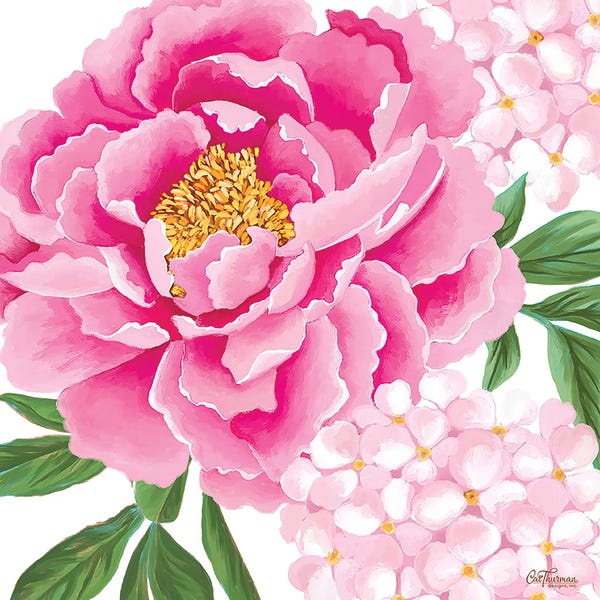 Big Pink Peony