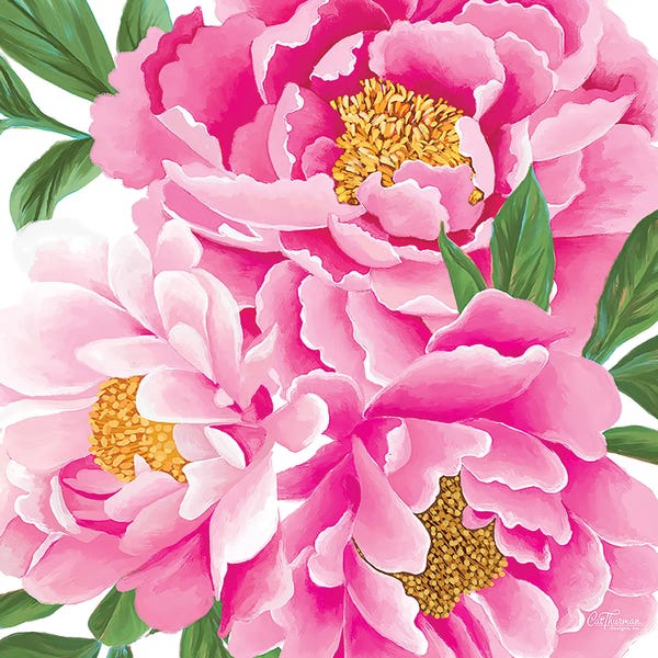 Cat Thurman Designs: Pink Peony Cluster by Cat Thurman Designs