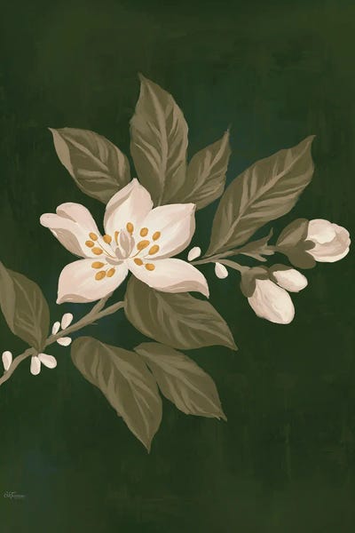 Fleeting Flower