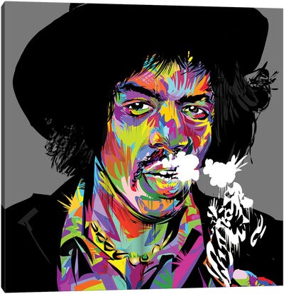 Jimi Hendrix Canvas Art Print - TECHNODROME1