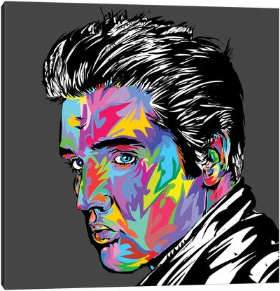 Elvis Canvas Art Print - TECHNODROME1