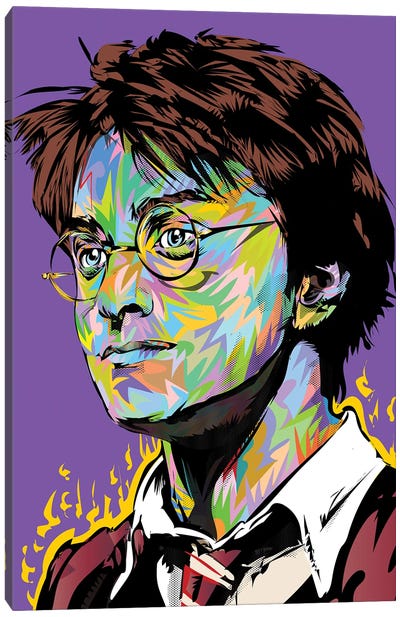 Harry Canvas Art Print - Harry Potter (Film Series)