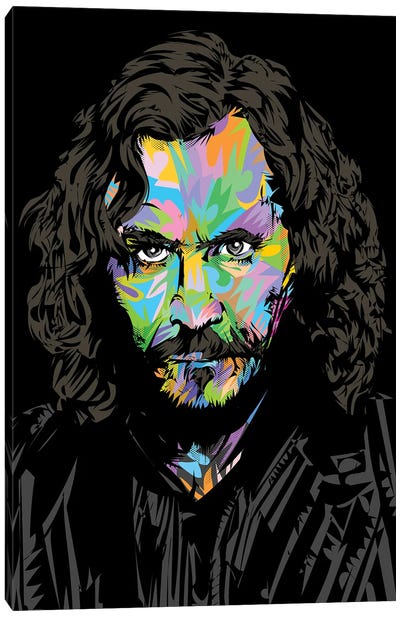 Sirius Black Canvas Art Print - Movie & Television Character Art