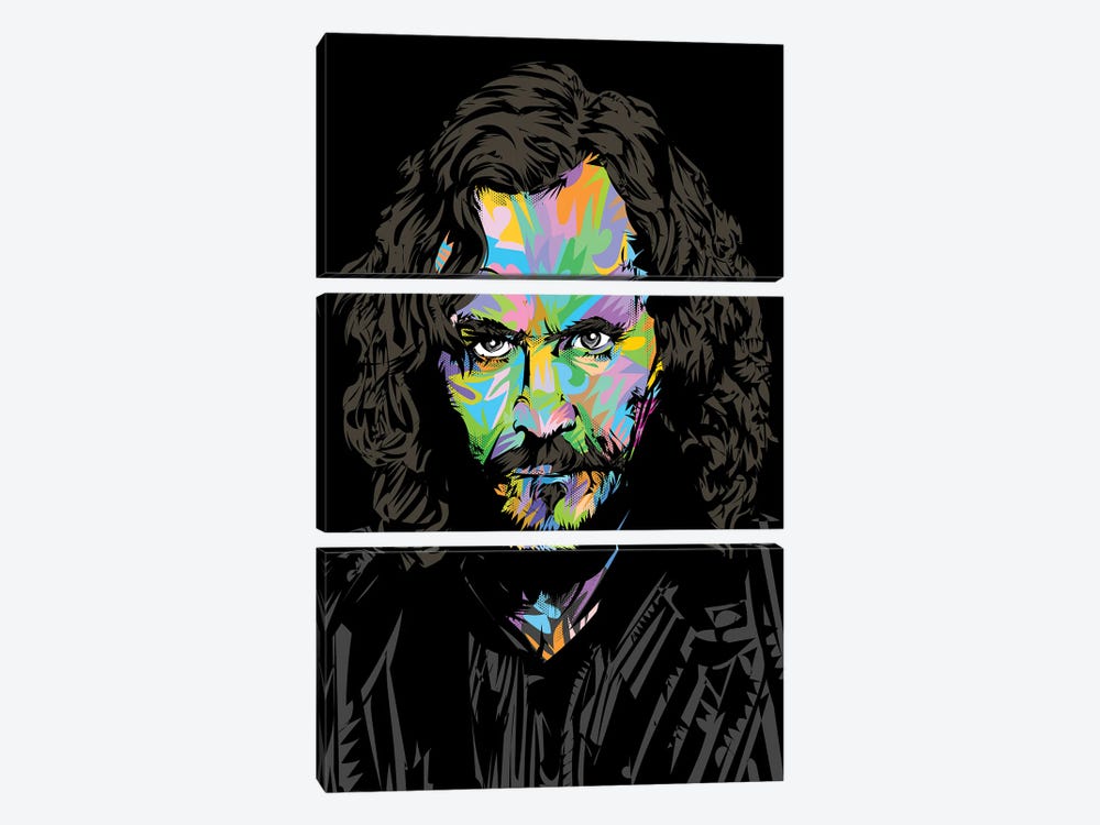 Sirius Black by TECHNODROME1 3-piece Canvas Print
