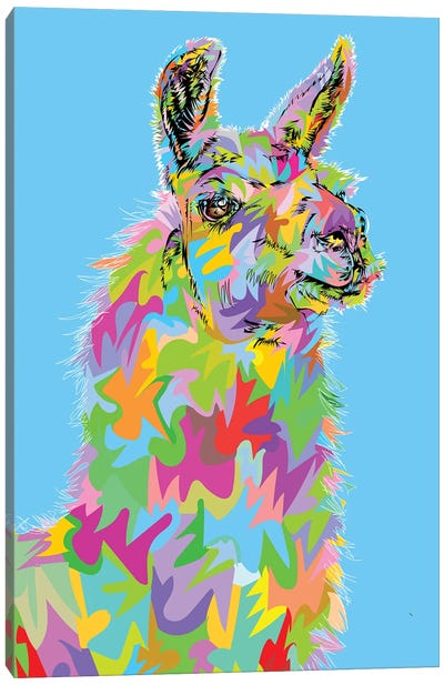 llama Drome Canvas Art Print - Llama & Alpaca Art
