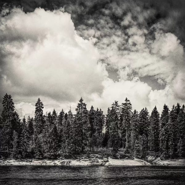 Black & White Florals: Far Away Clouds Passing By by Tordis Kayma