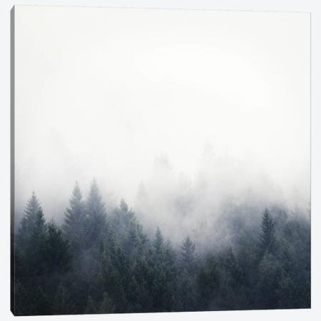 I Don't Give A Fog Canvas Print #TDS11} by Tordis Kayma Canvas Art