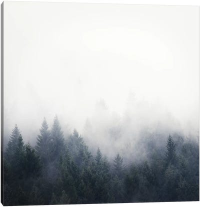 I Don't Give A Fog Canvas Art Print - Pine Tree Art
