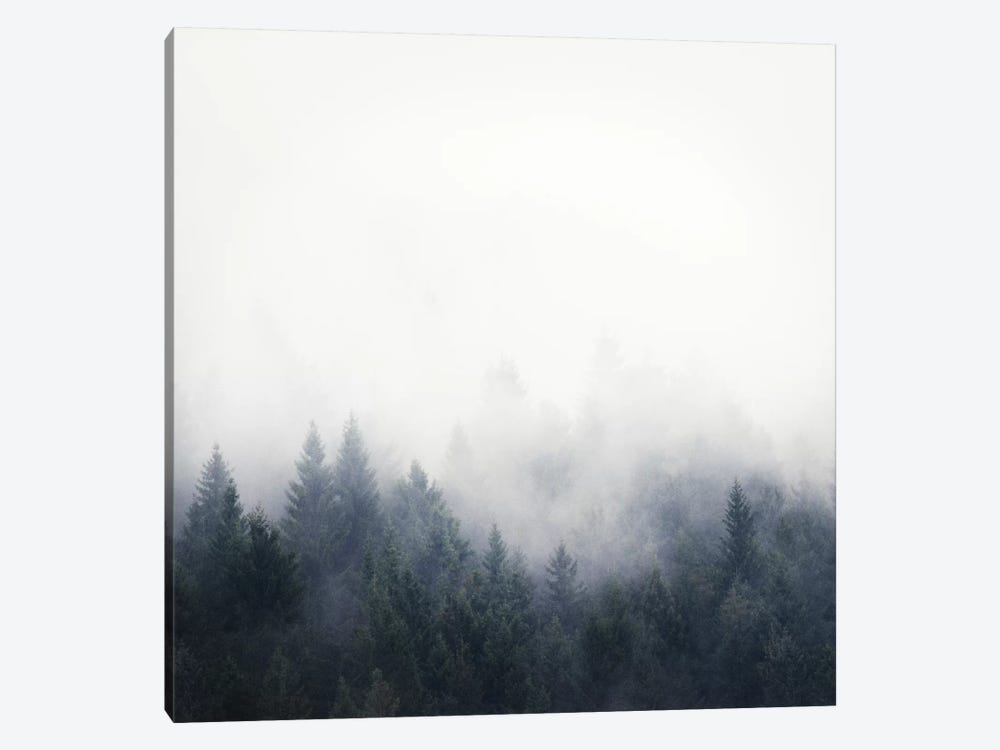 I Don't Give A Fog by Tordis Kayma 1-piece Canvas Print
