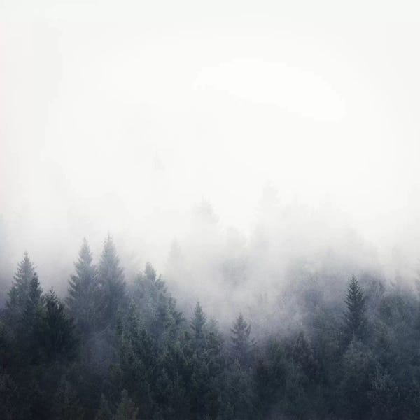 Mist & Fog: I Don't Give A Fog by Tordis Kayma