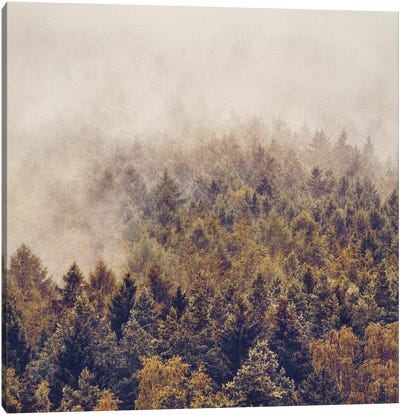 If You Had Stayed Canvas Art Print - Mist & Fog Art