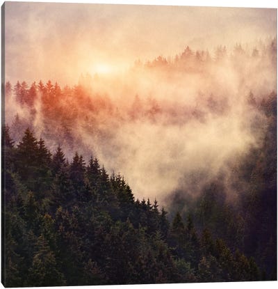 In My Other World Canvas Art Print - Evergreen Tree Art