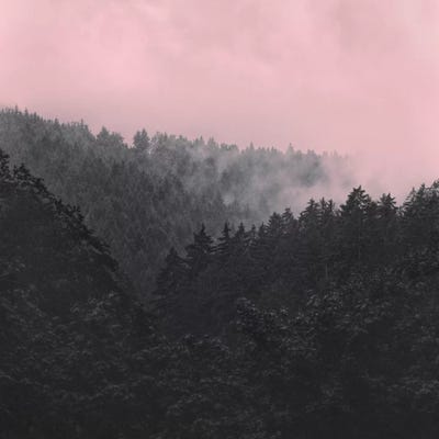 Slowly Sinking In by Tordis Kayma framed canvas print